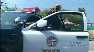 Female officer fucking in shiny latex lingerie - porn video