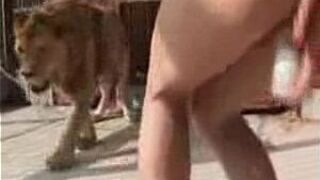 fucking near a lion - porn video