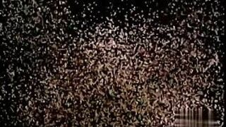 Gay orgy Joe Gets A Big Dick In His - porn video