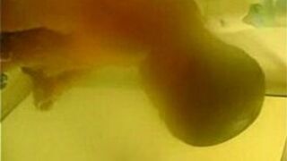 young stud fuck session - porn video